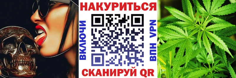 дарнет шоп  Бирюч  Бошки Шишки планчик 
